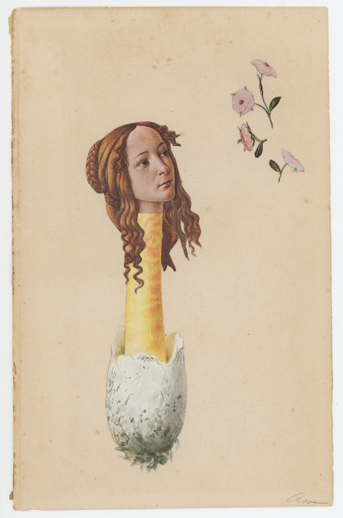 Botticelli Shroom collage