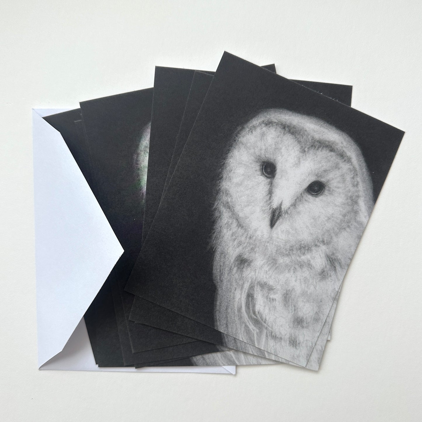 Barn Owl note card