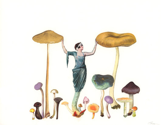 Queen of the Shrooms collage