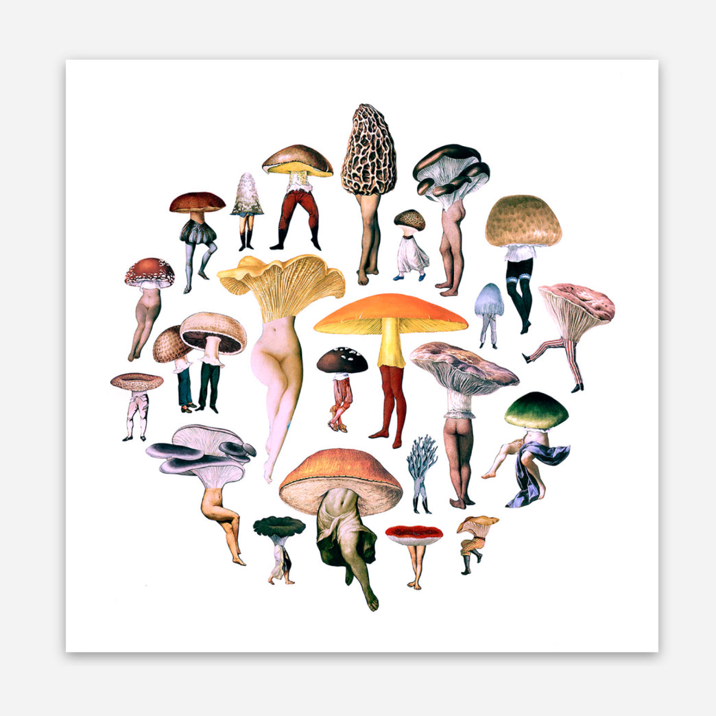 Mushroom Patch sticker