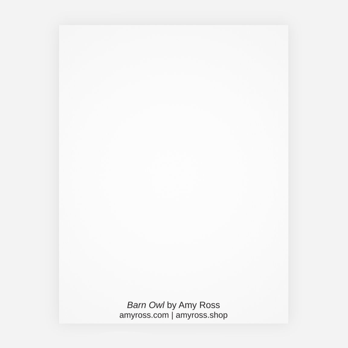 Barn Owl note card