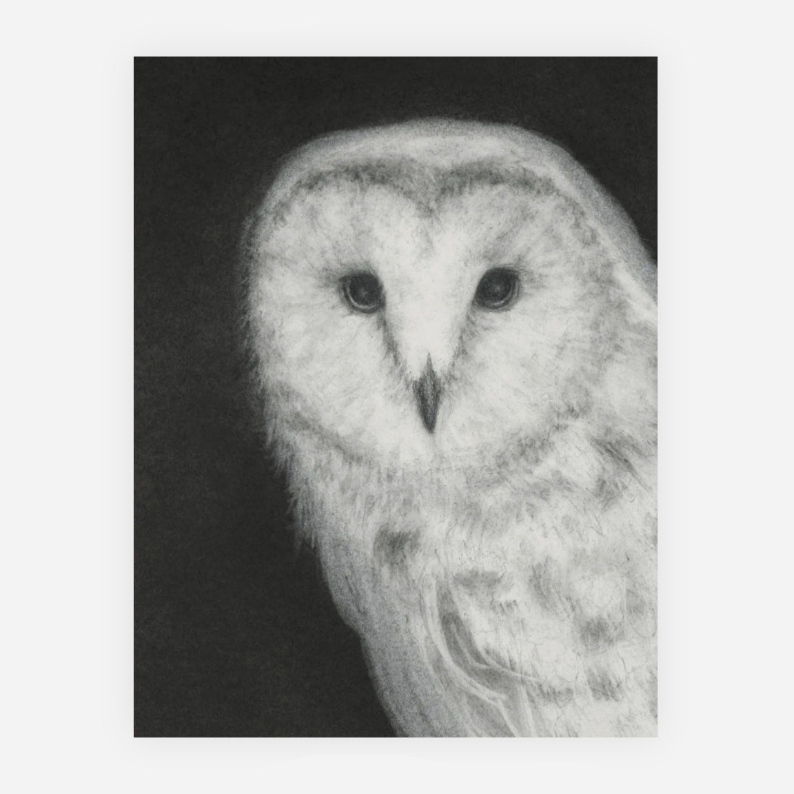 Barn Owl note card