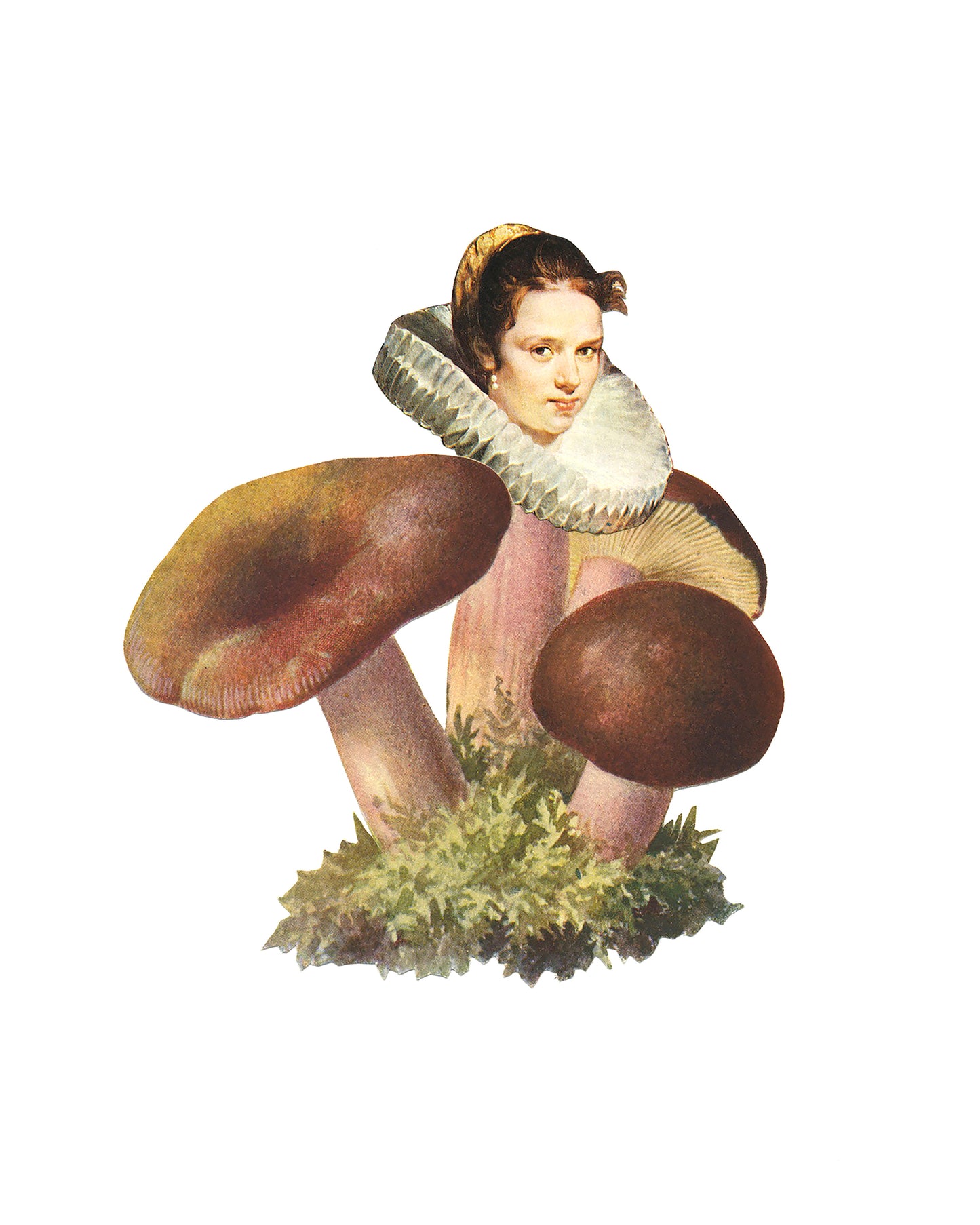 Elizabethan Shroom