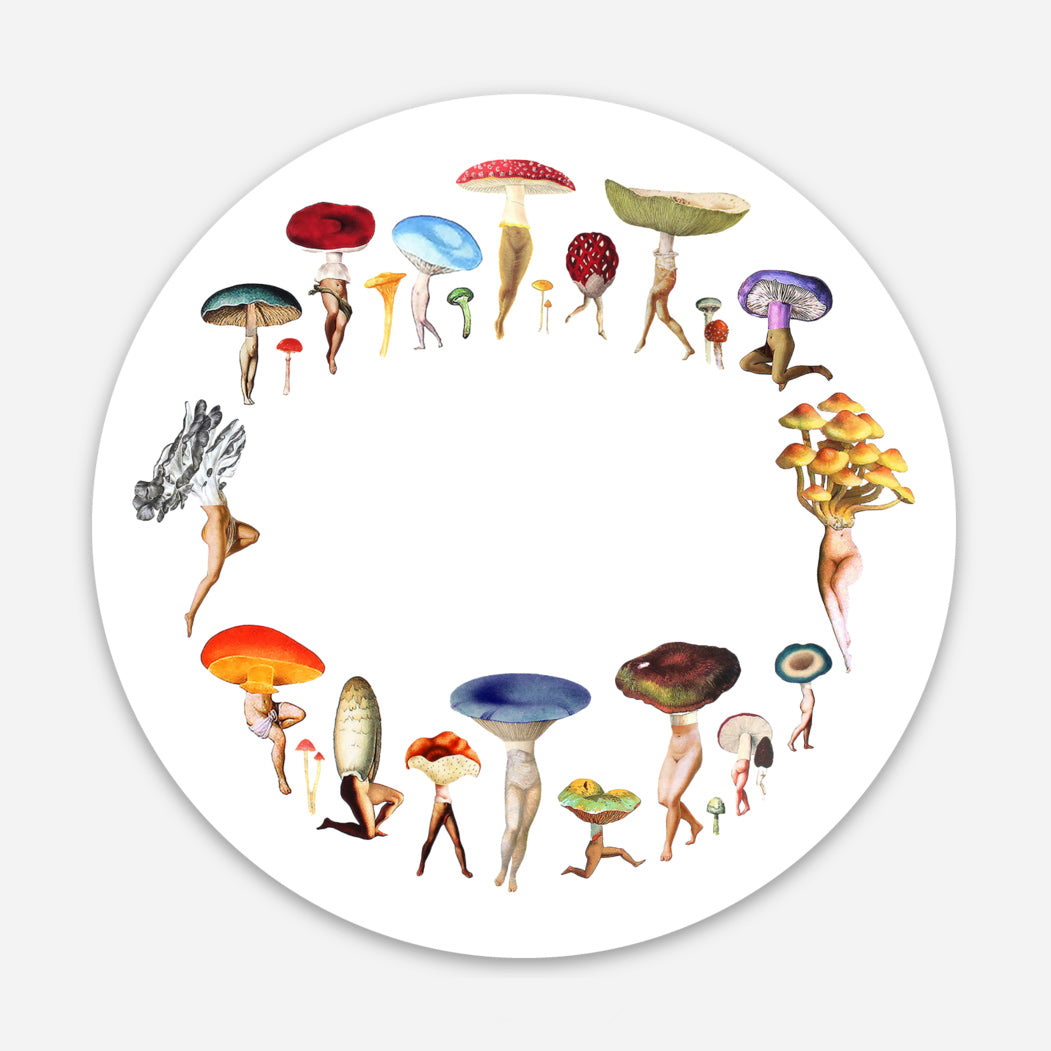 Fairy Circle sticker