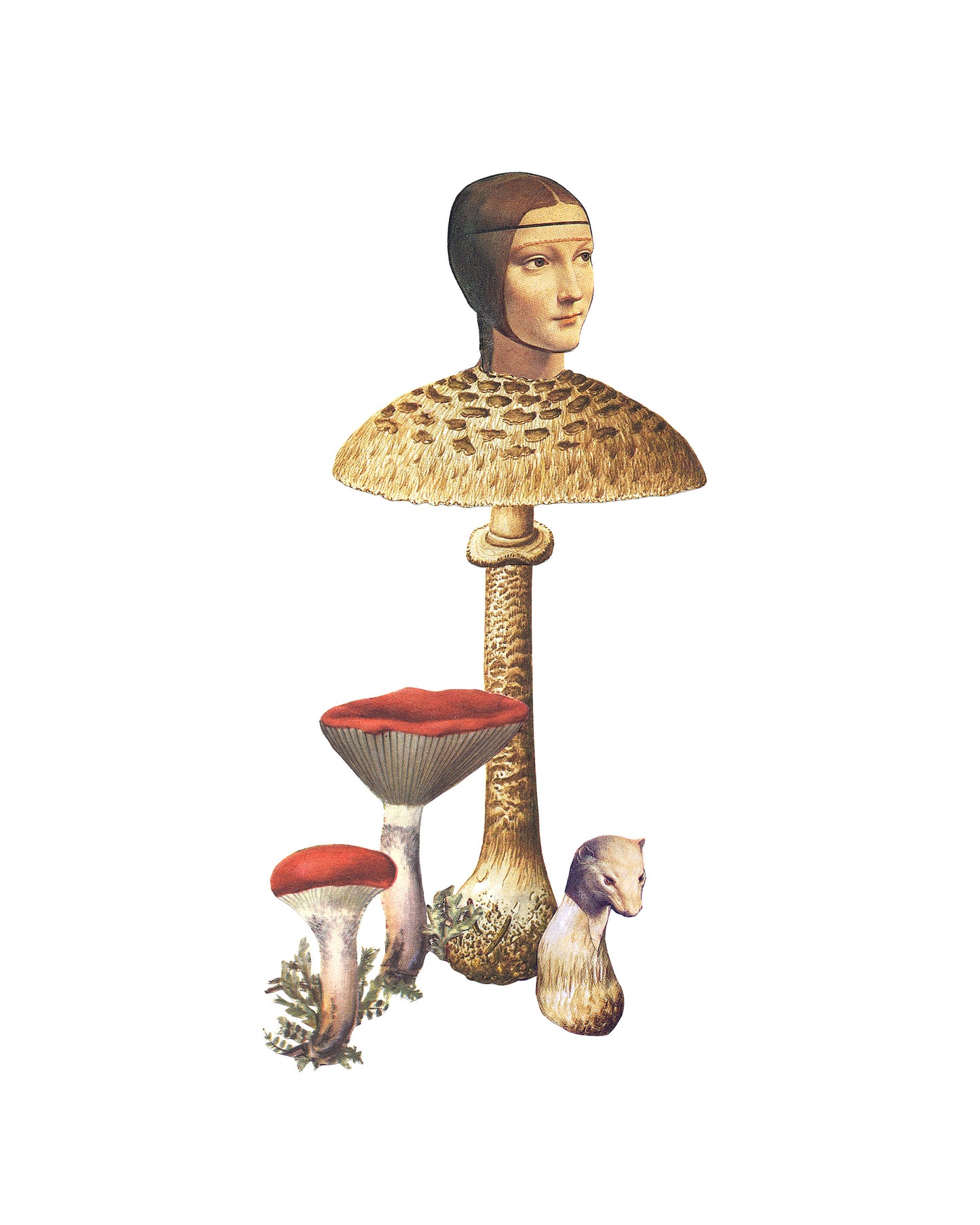 Lady with an Ermine print