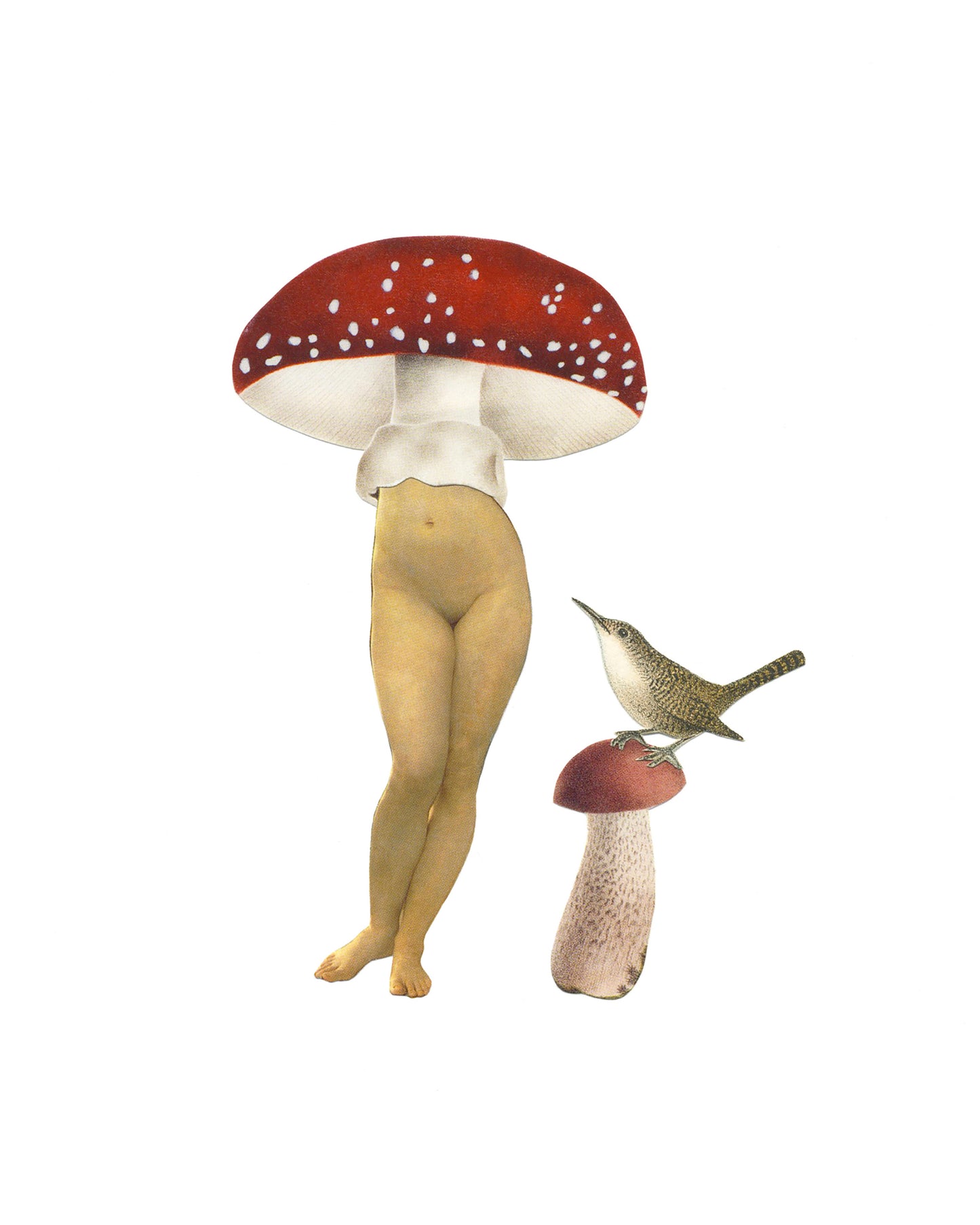 Red Lady-shroom
