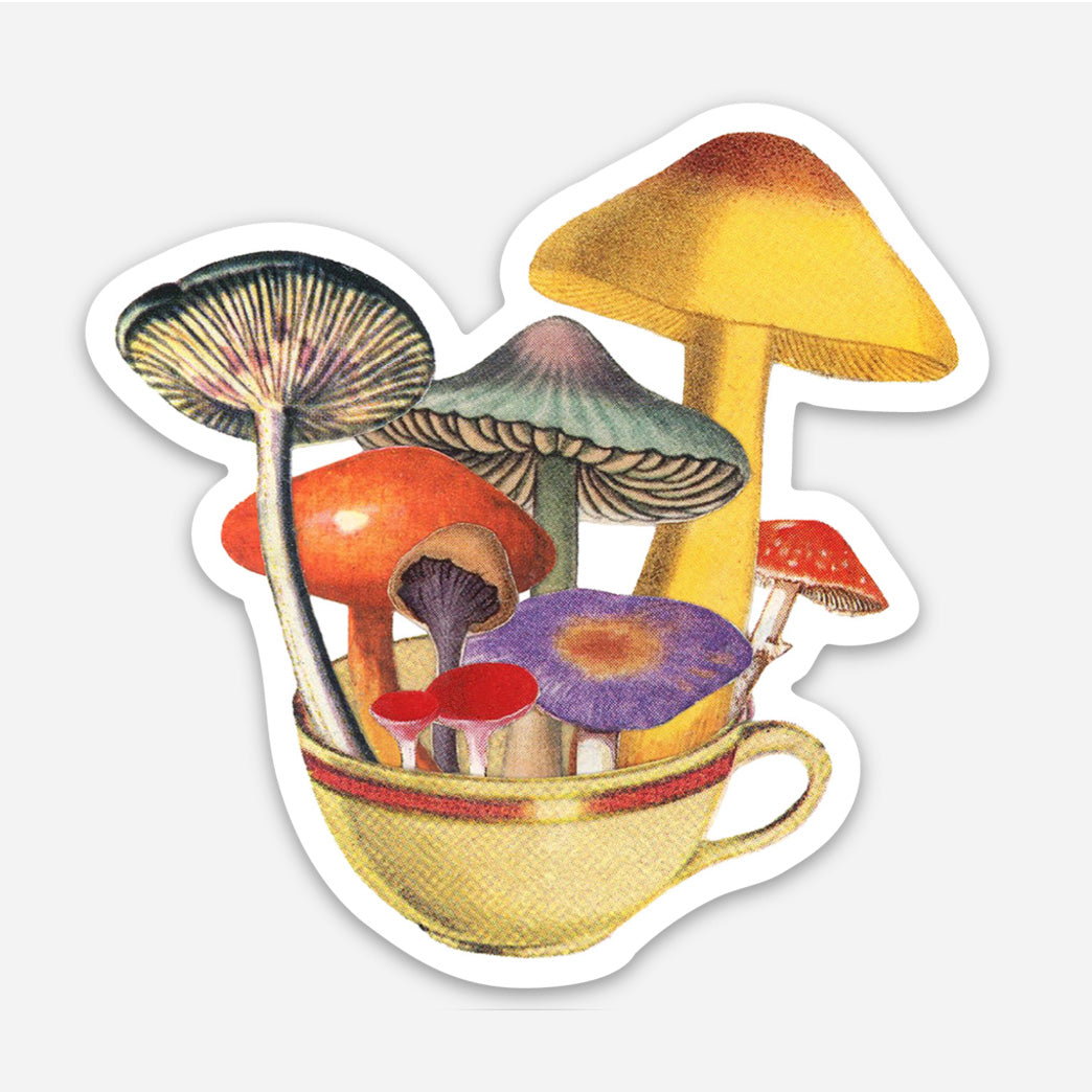Tea Trip magnet