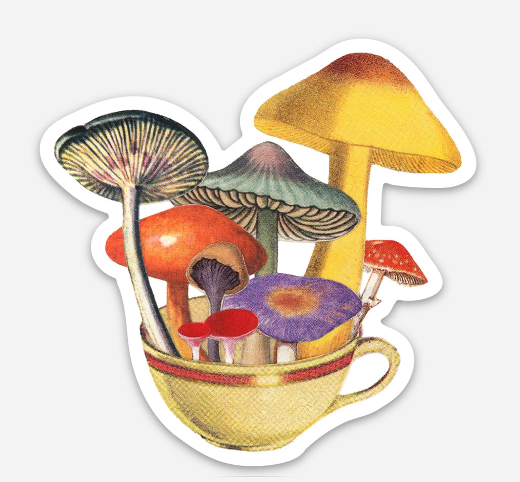 Tea Time magnet