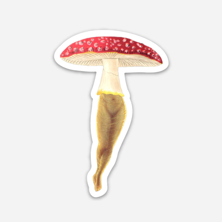 Amanita Gal sticker