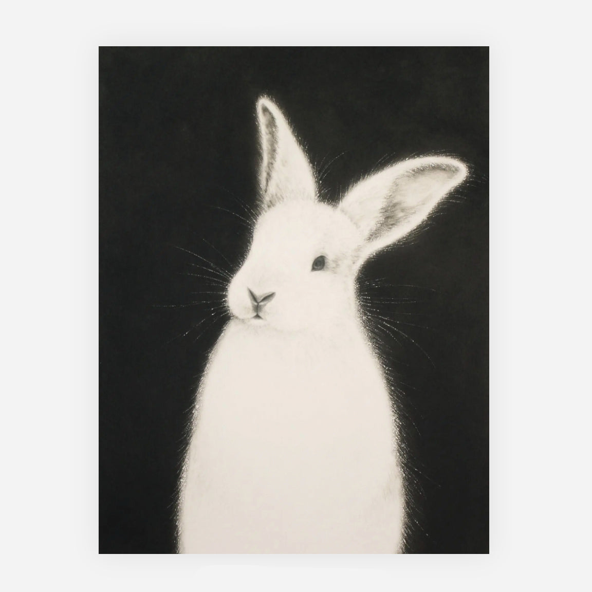 White Rabbit note card
