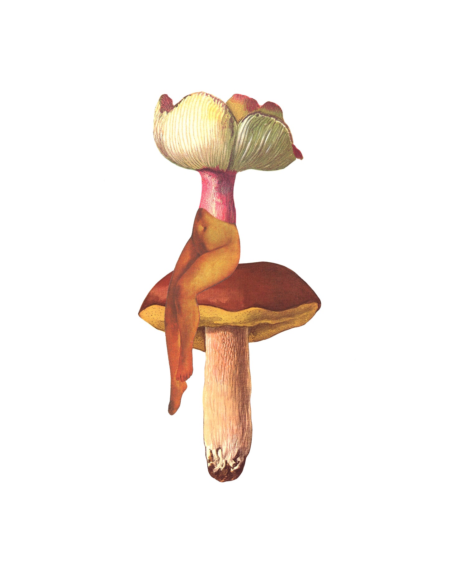 Seated Shroom print