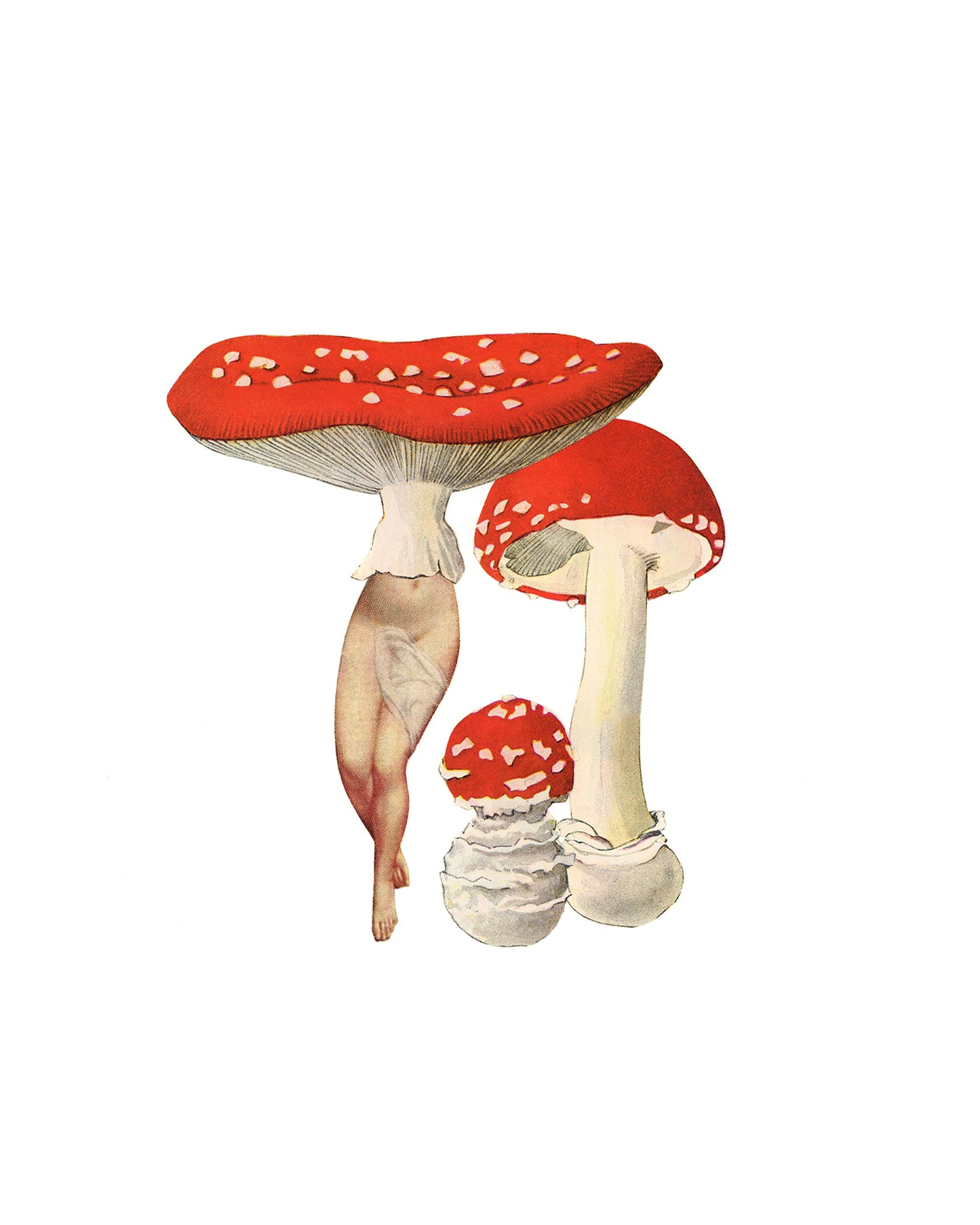 Amanita Patch print