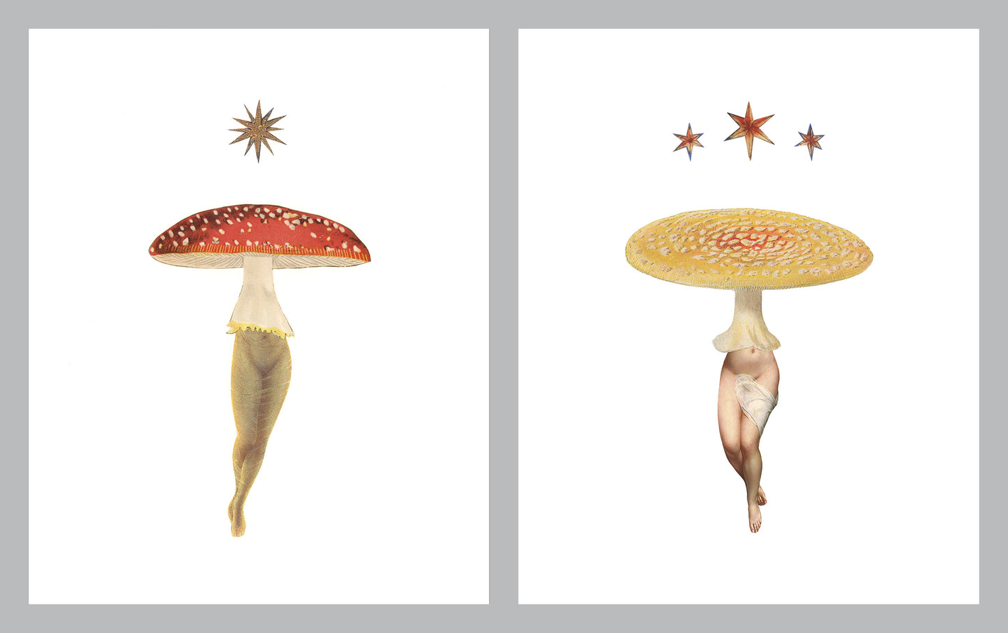 Pair of 5x7" Amanita Star prints