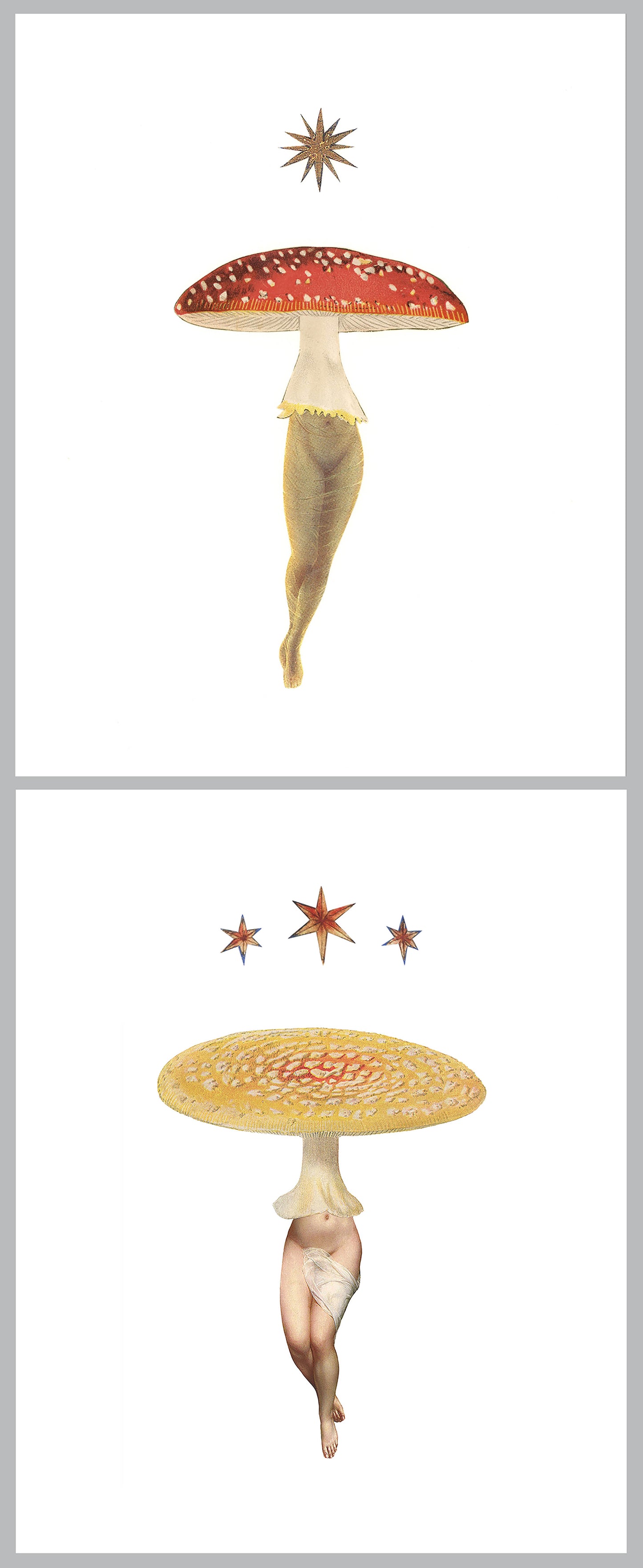 Pair of 5x7" Amanita Star prints