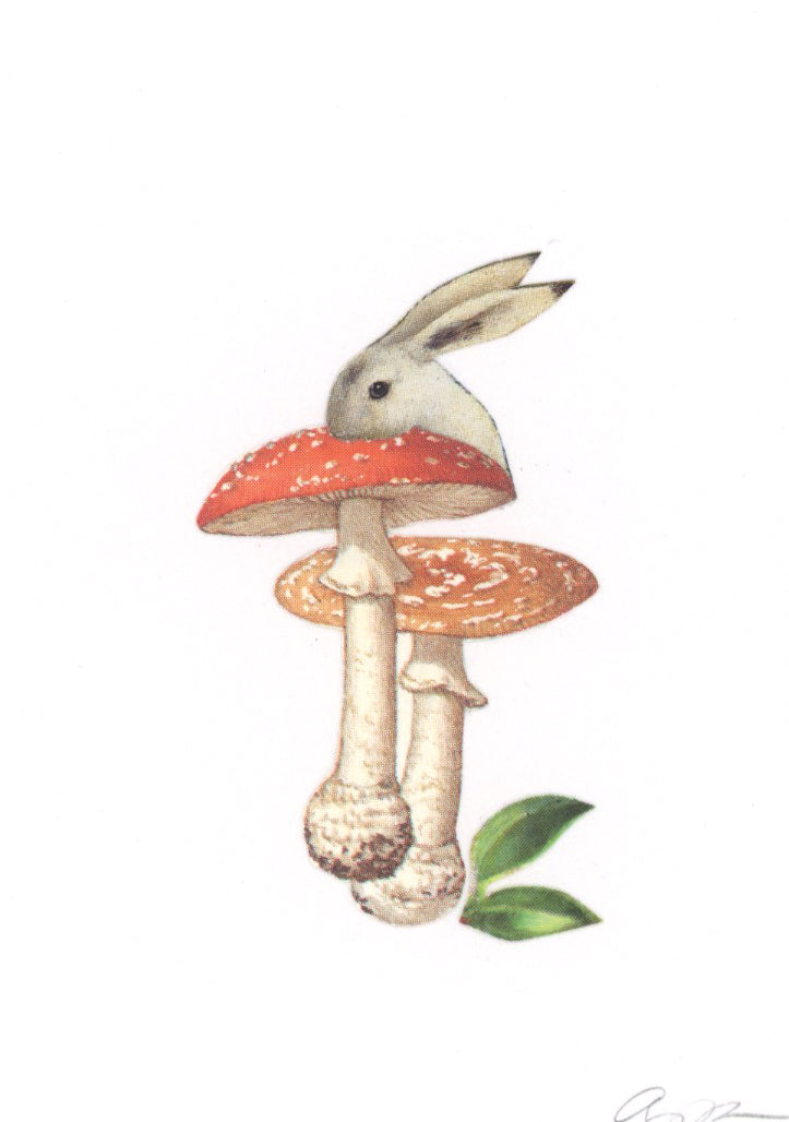 Bunny Amanita collage