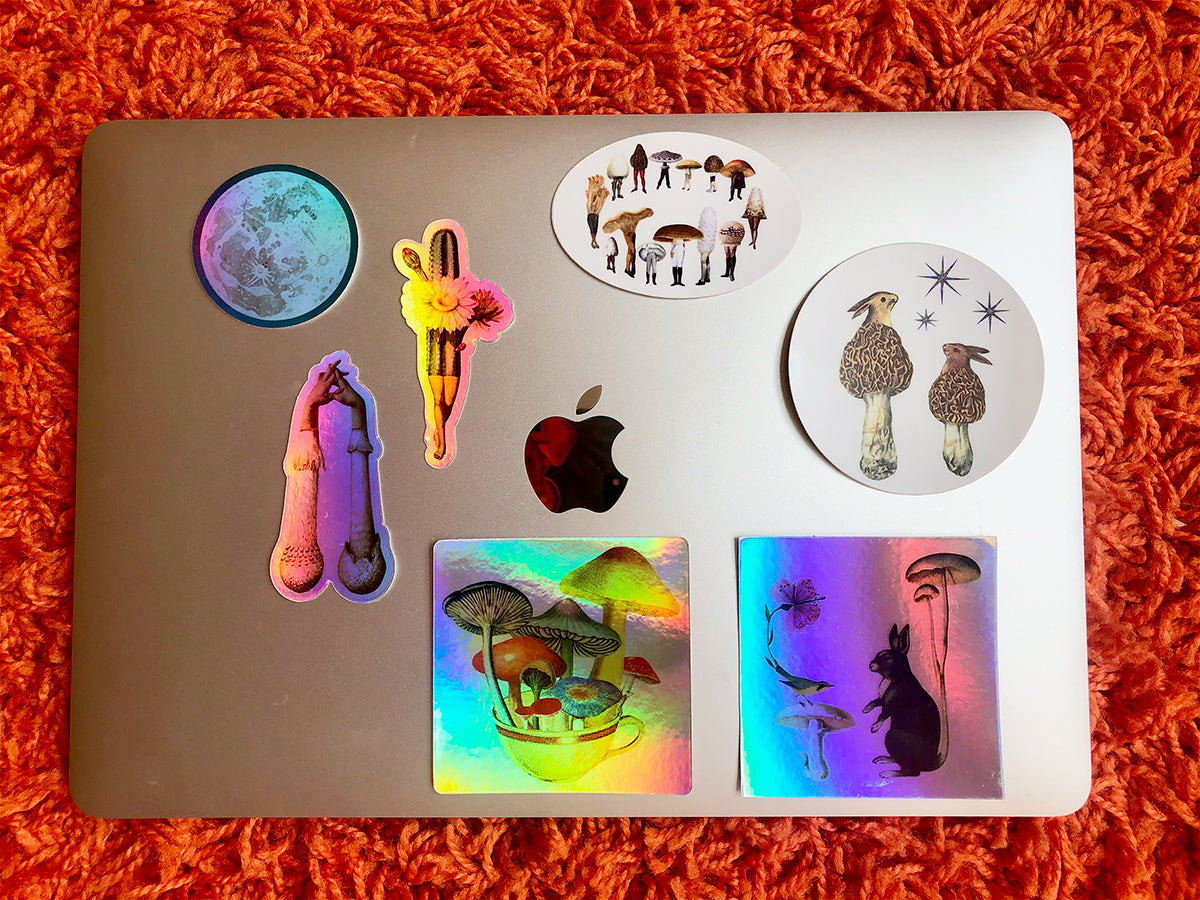 Night Bloomer sticker