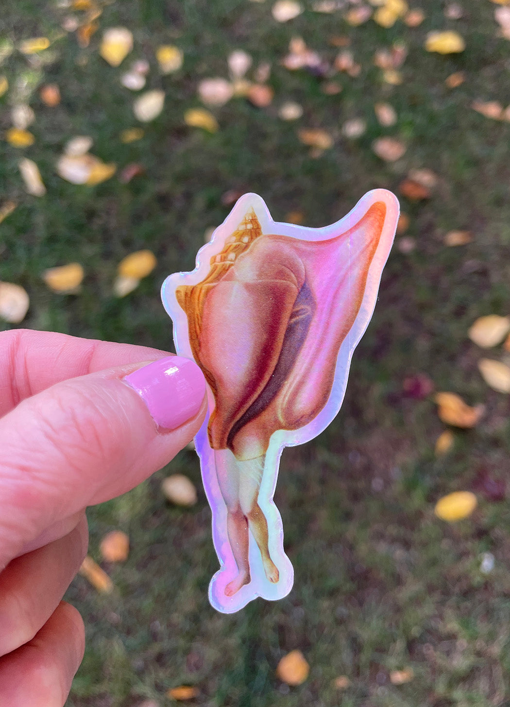 Queen Conch sticker