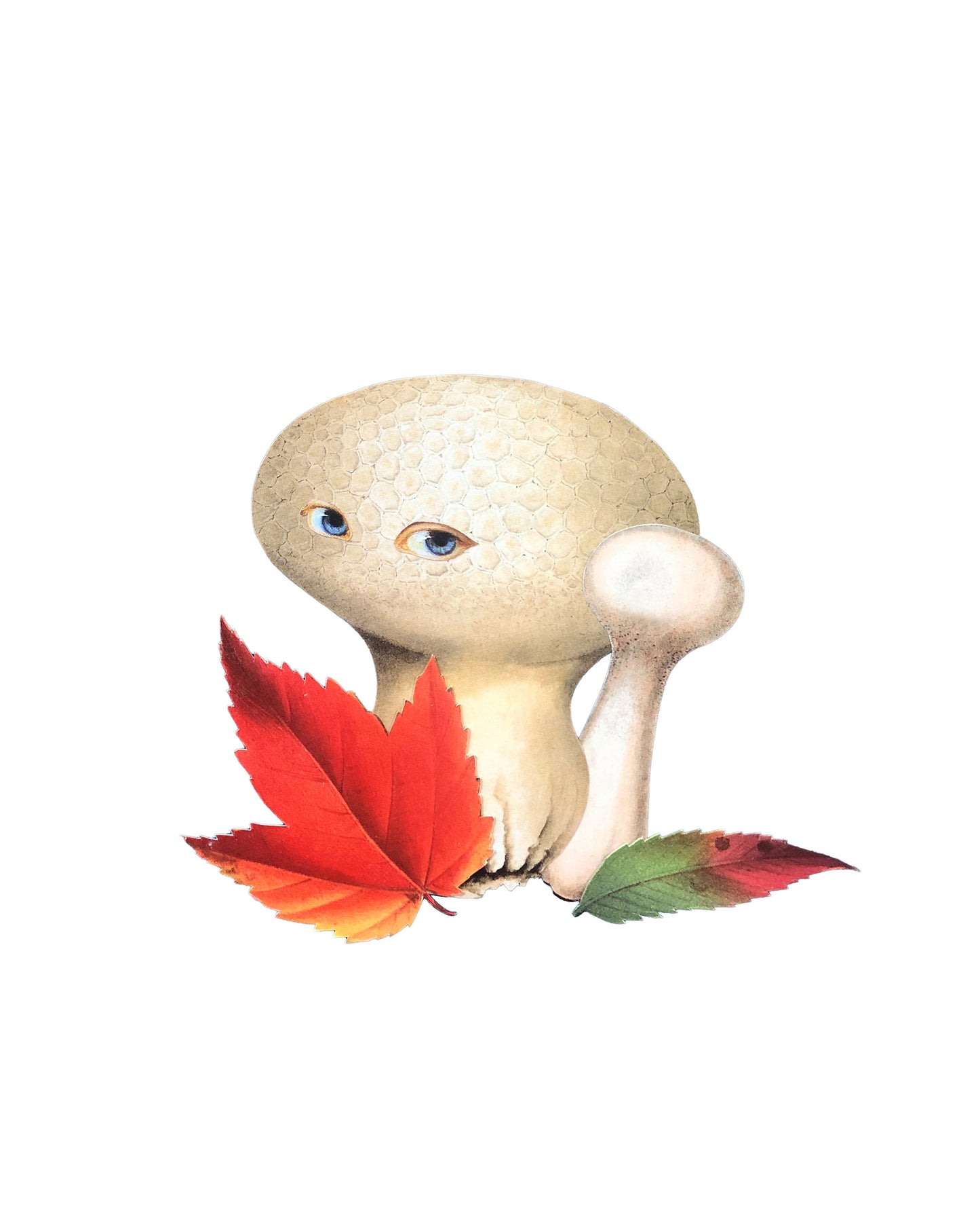 Autumn Shroom print