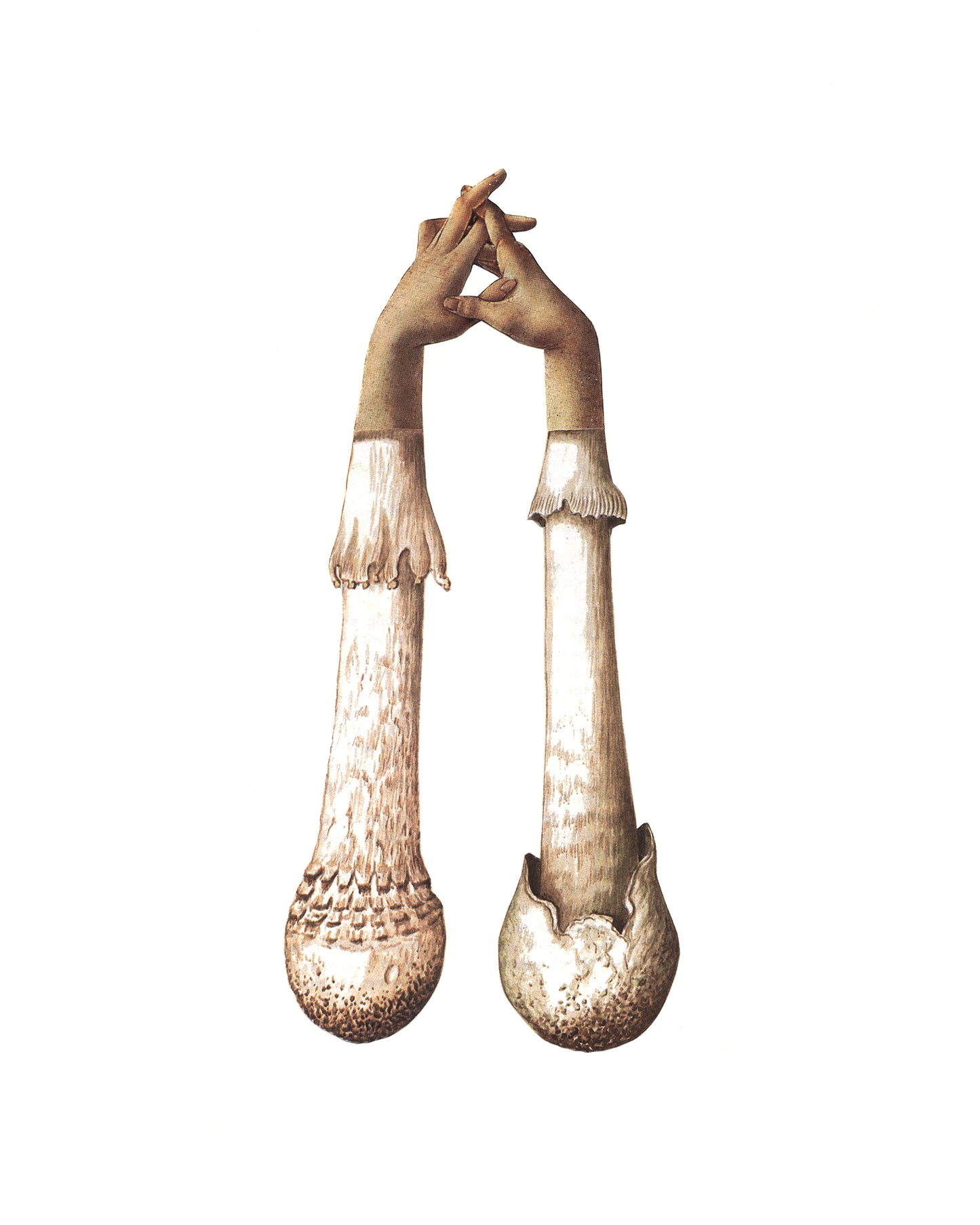 Handshrooms print