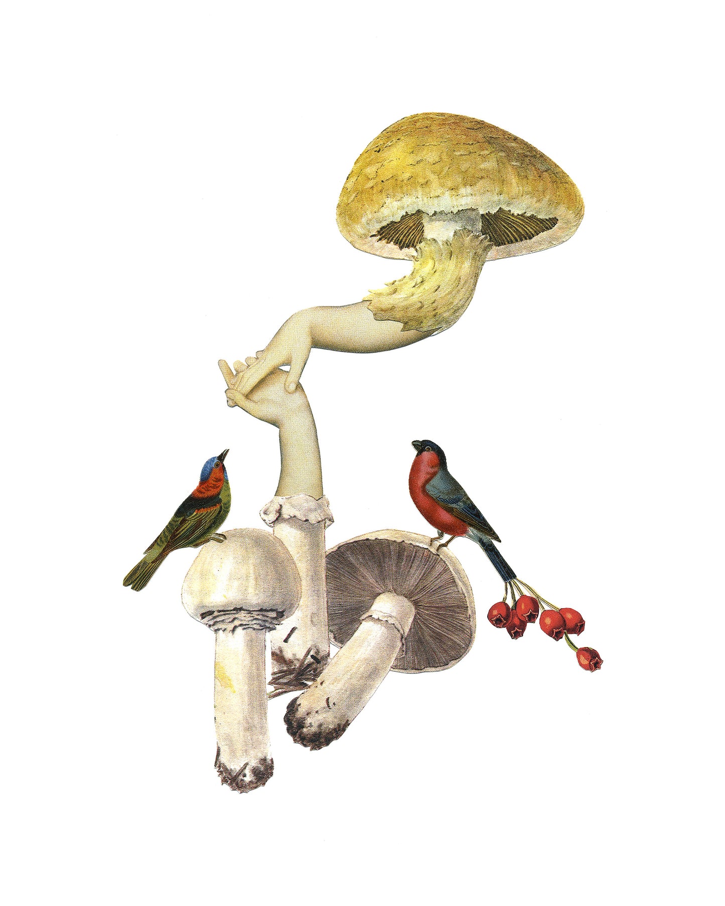 Hold my Hand #2 print