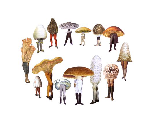 Mini Fairy Ring print