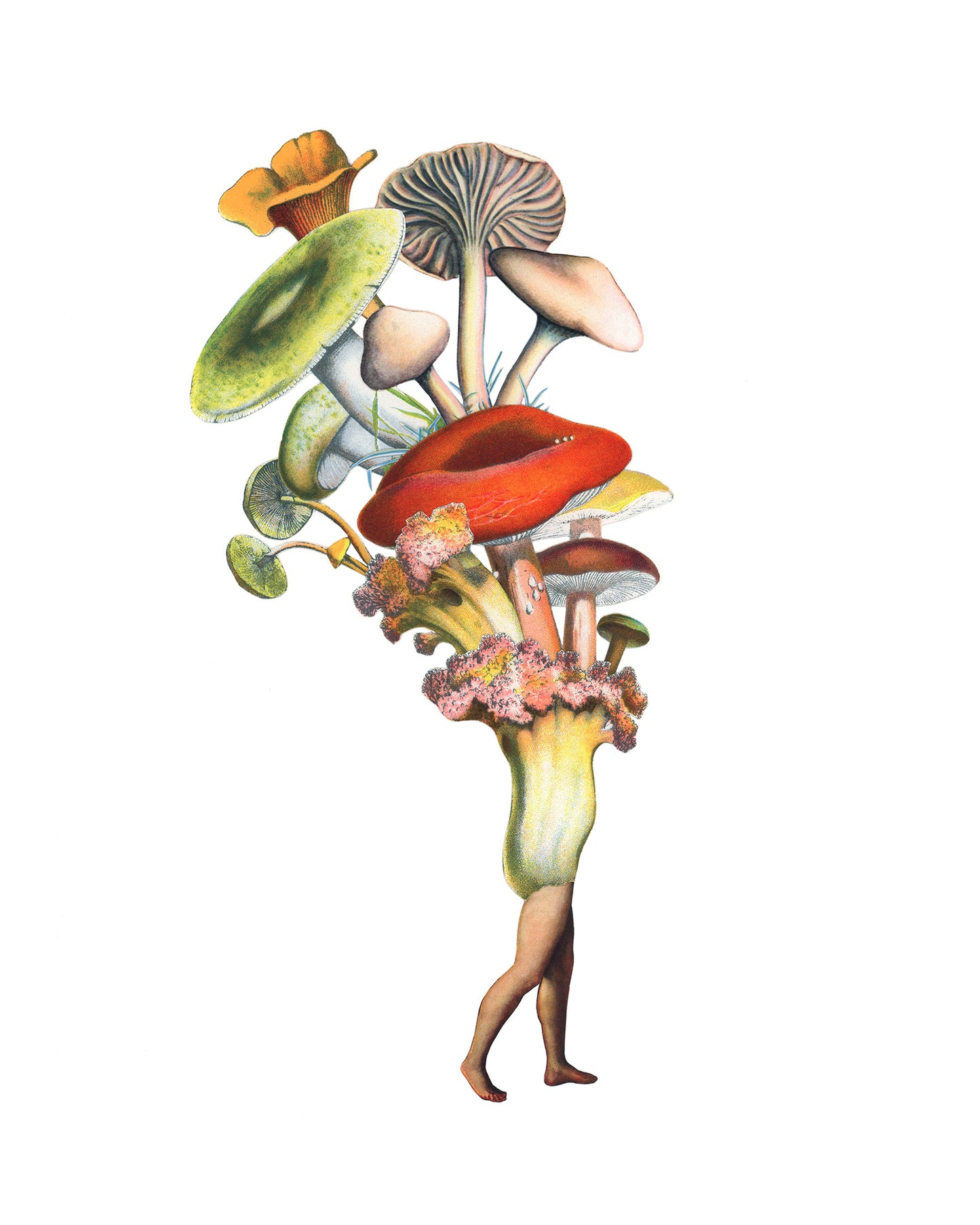 She-shroom print