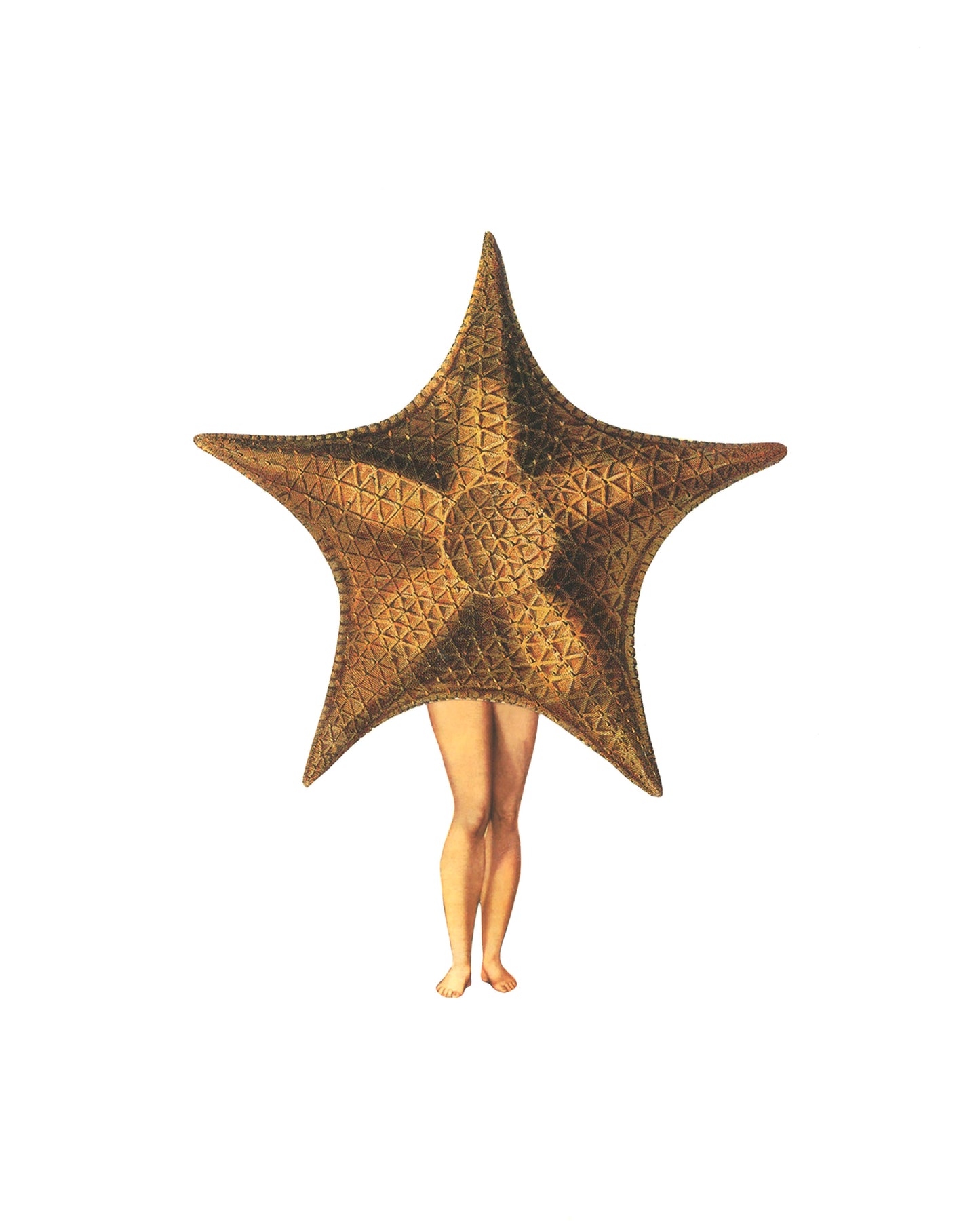 Starfish print