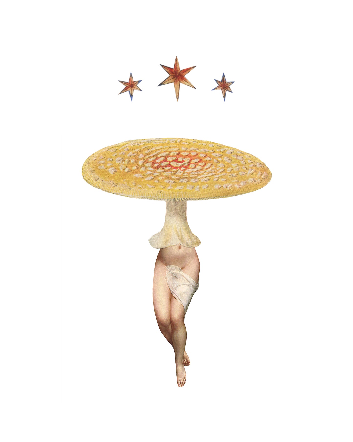 Yellow Amanita Star print