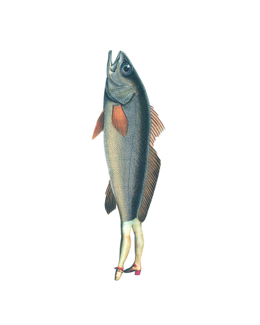 Napoleon Fish print