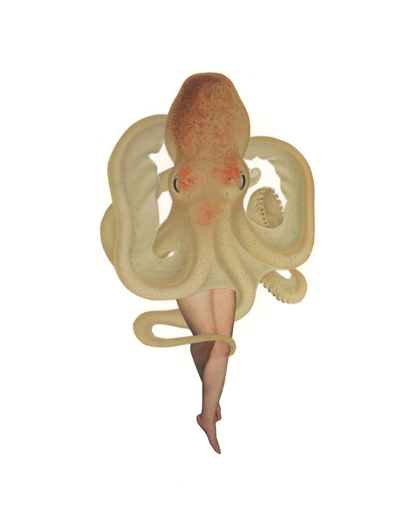 Octopus print