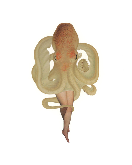 Octopus print