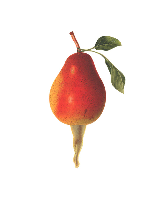 Orchard print