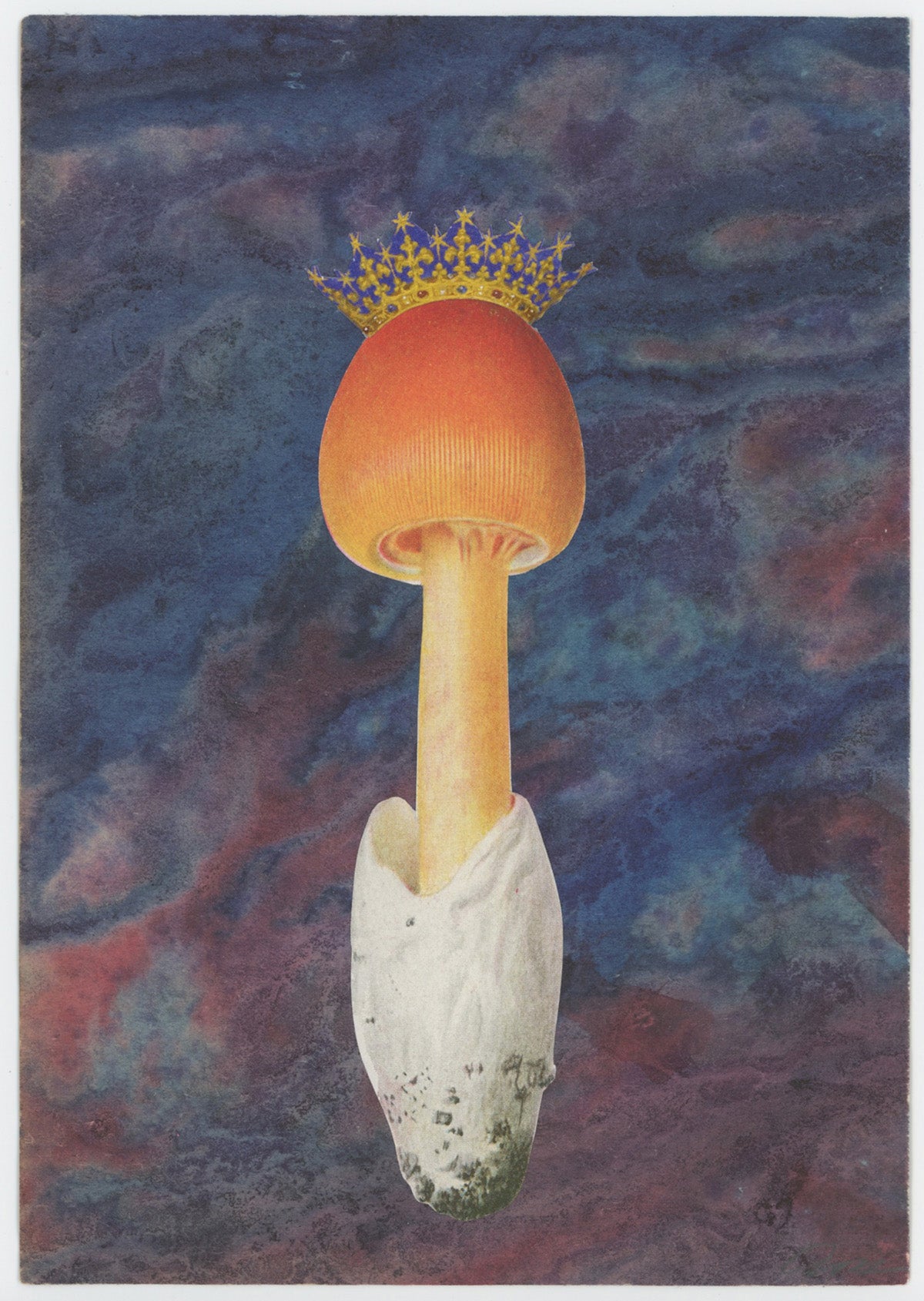 Royal Shroom collage