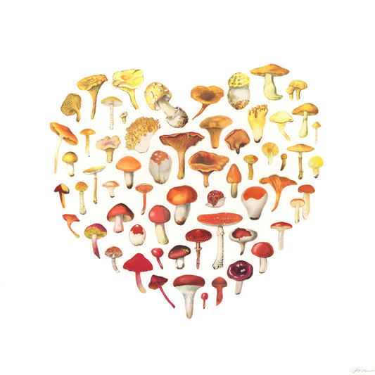 Mushroom Love collage