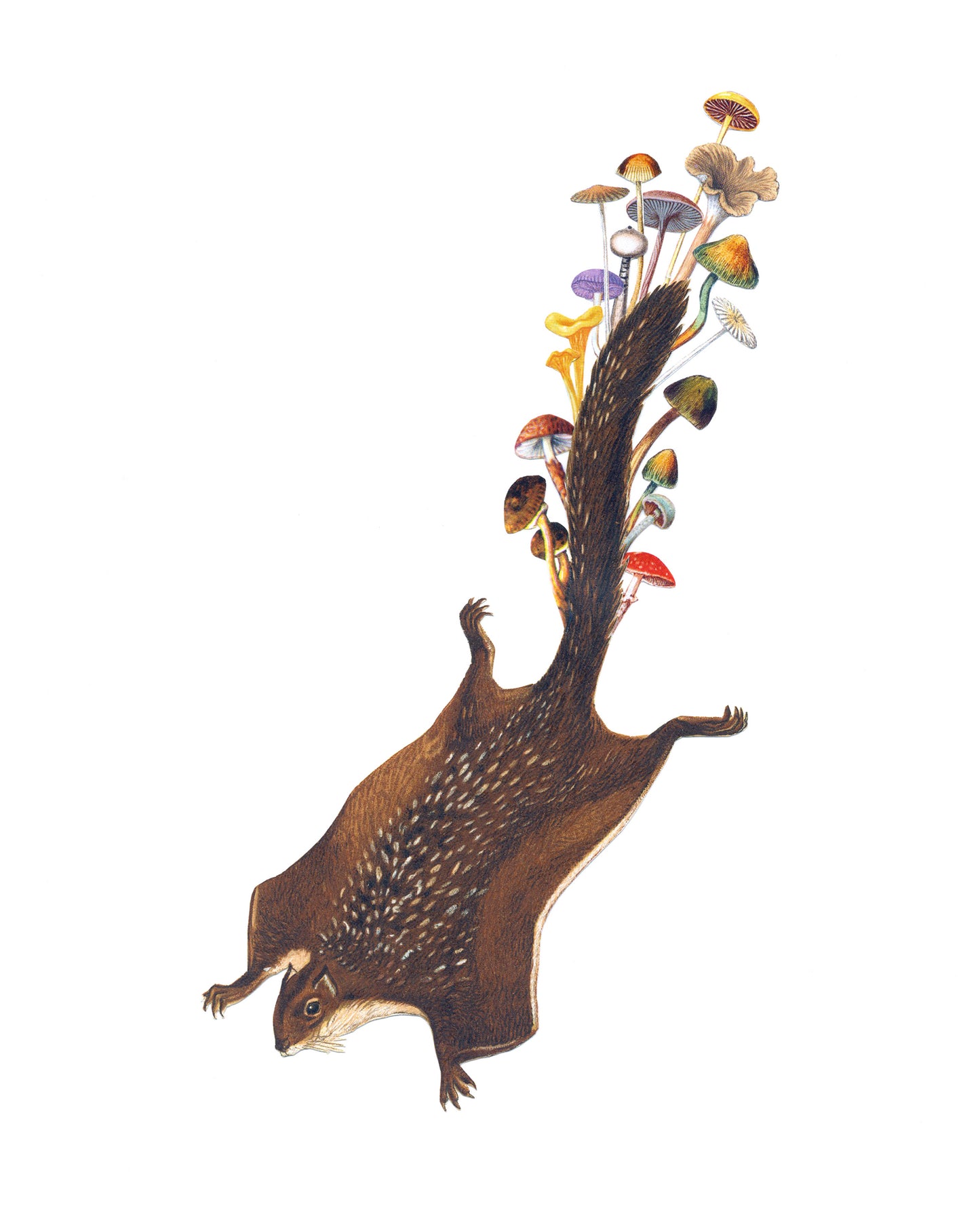 Archival print of a hand-cut paper collage featuring a squirrel with mushrooms morphed with its tail