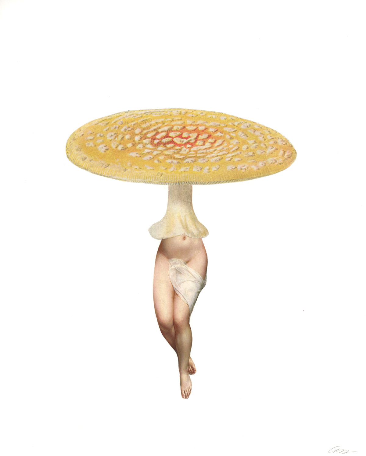 Yellow Amanita collage