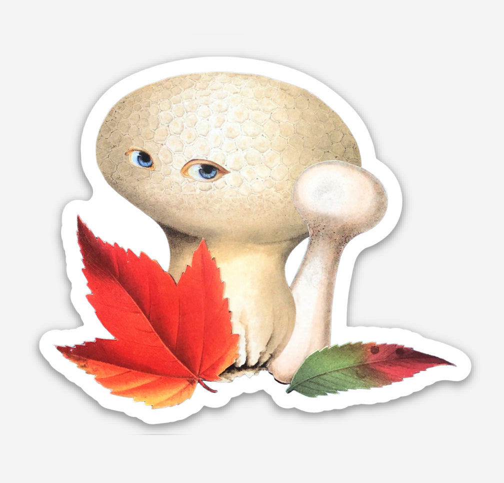 Autumn Shroom magnet