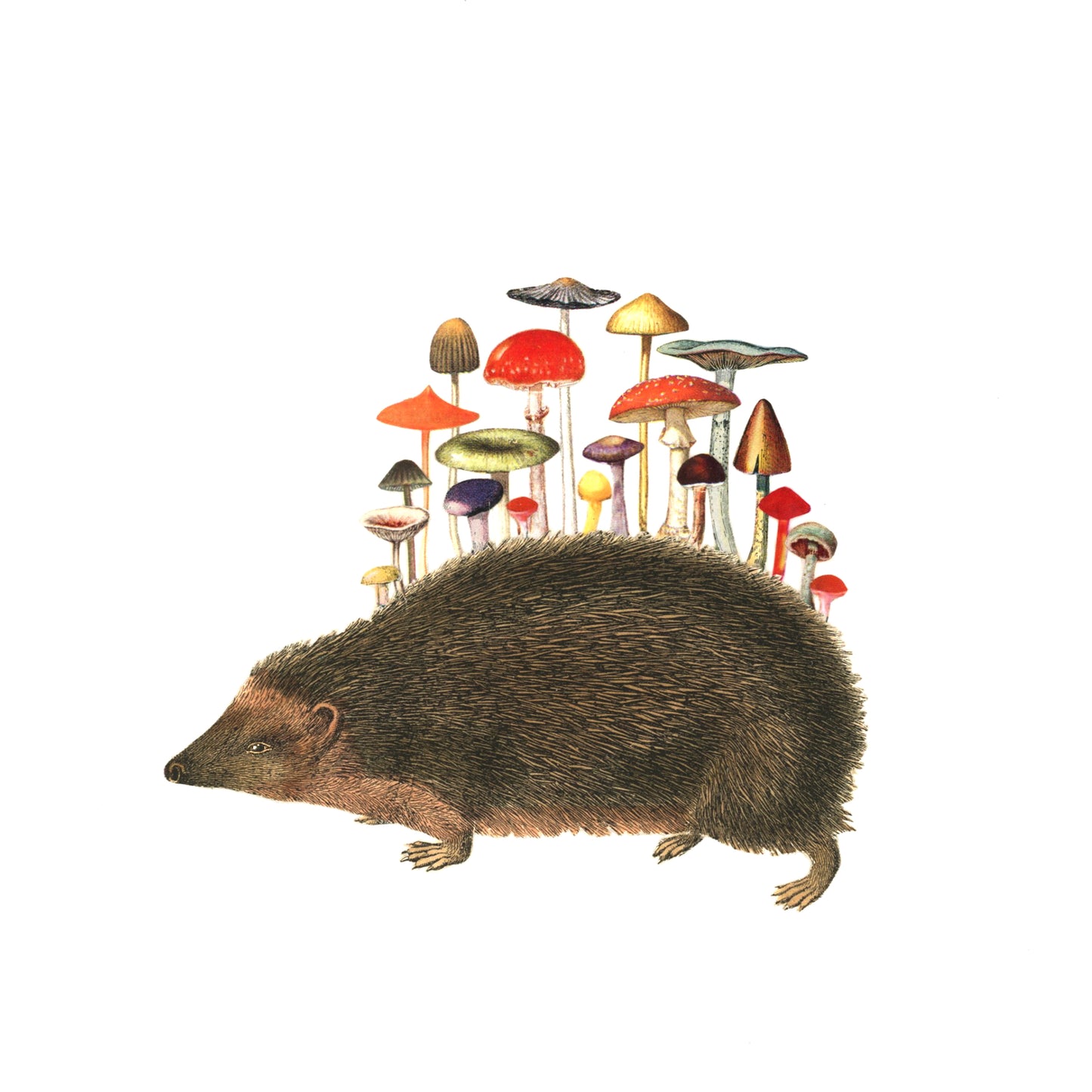 Holiday Hedgehogshrooms #1 (solo) print