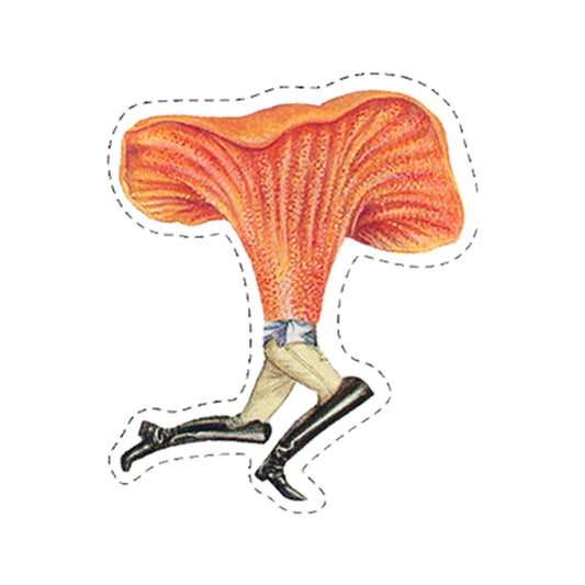 Orange-capped Mushroom Guy sticker