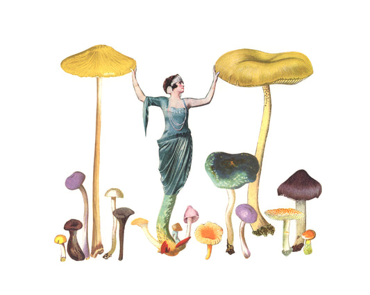 Queen of the Shrooms print