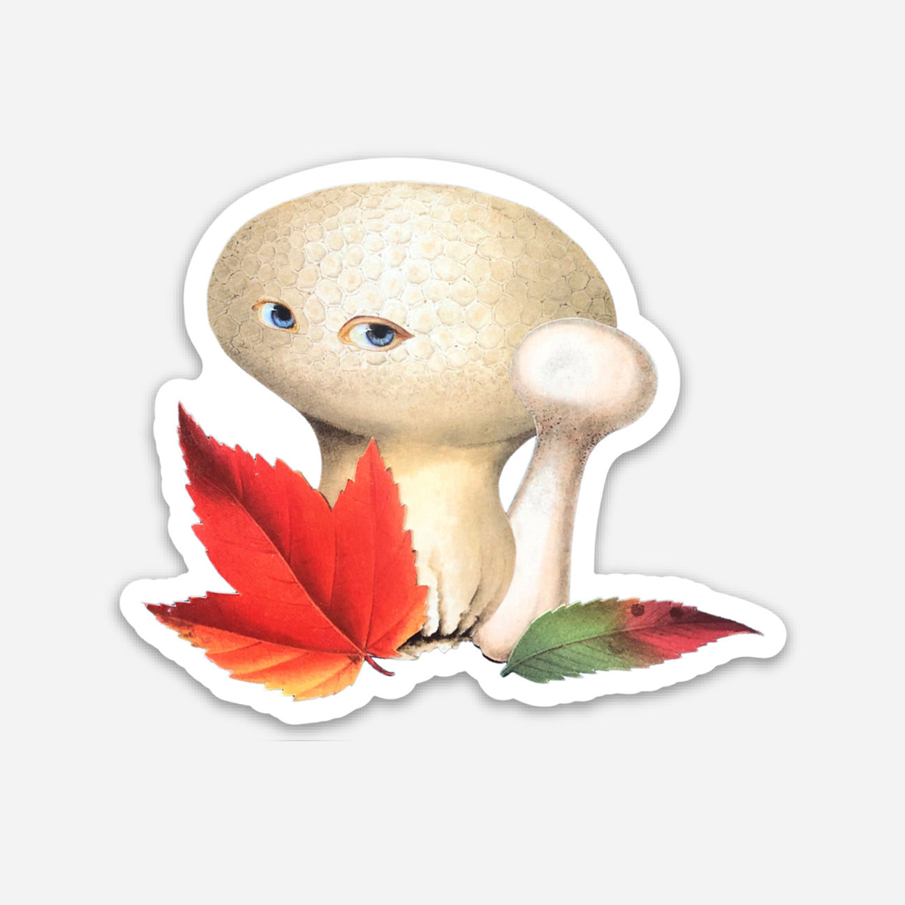 Autumn Shroom sticker