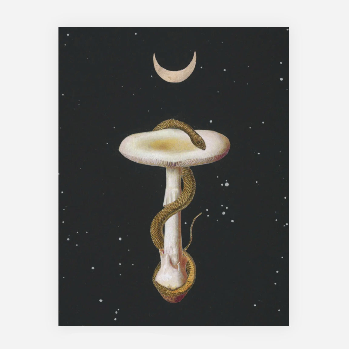 Celestial Snakeshroom note card