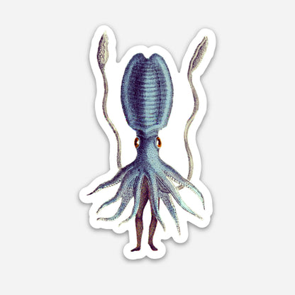 Squid Guy sticker