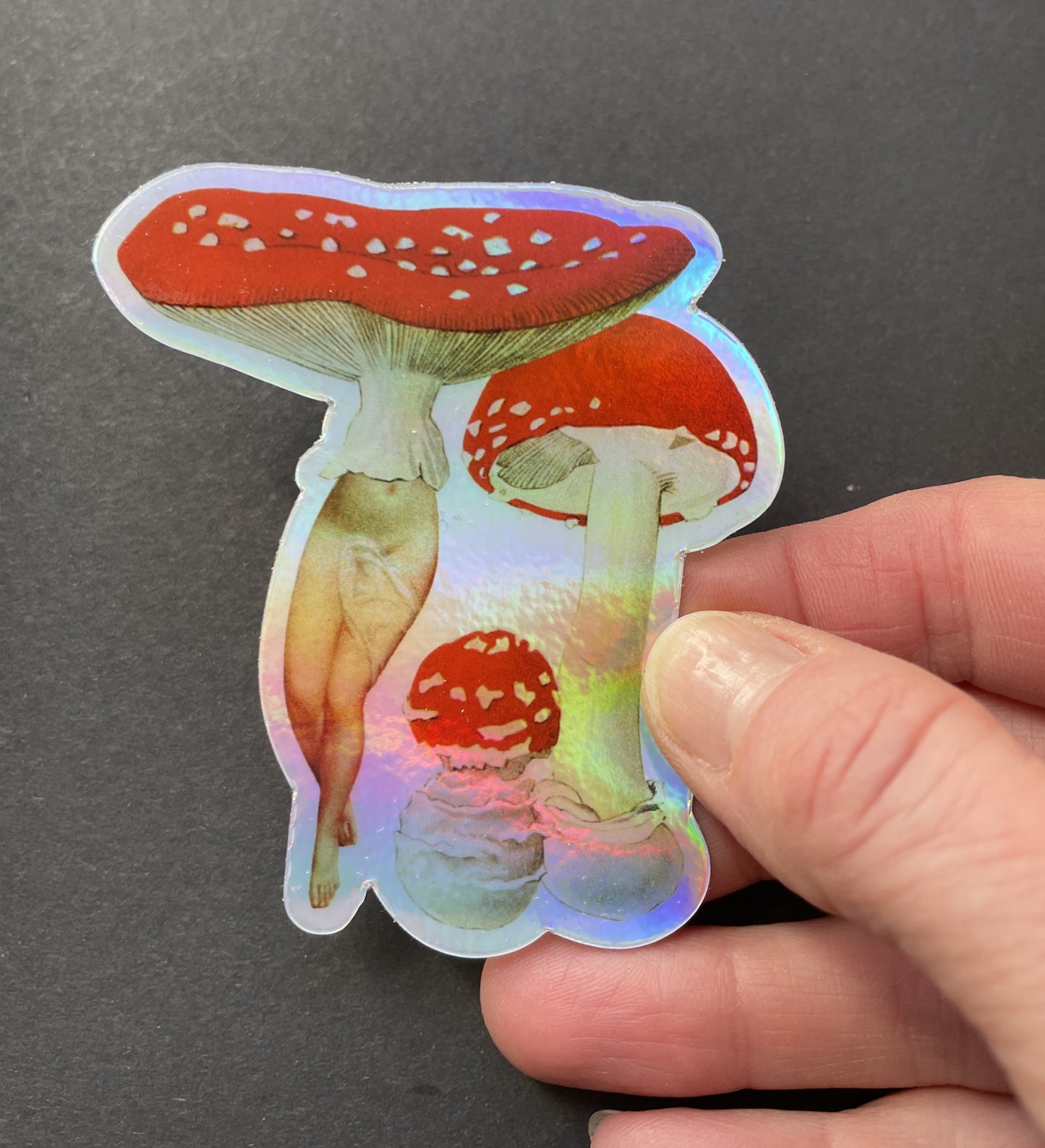 Amanita Patch sticker