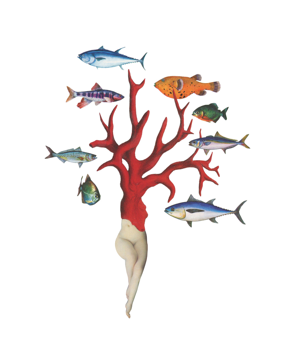 A vertical art print of a hand-cut paper collage of red coral with human legs, surrounded by fish 