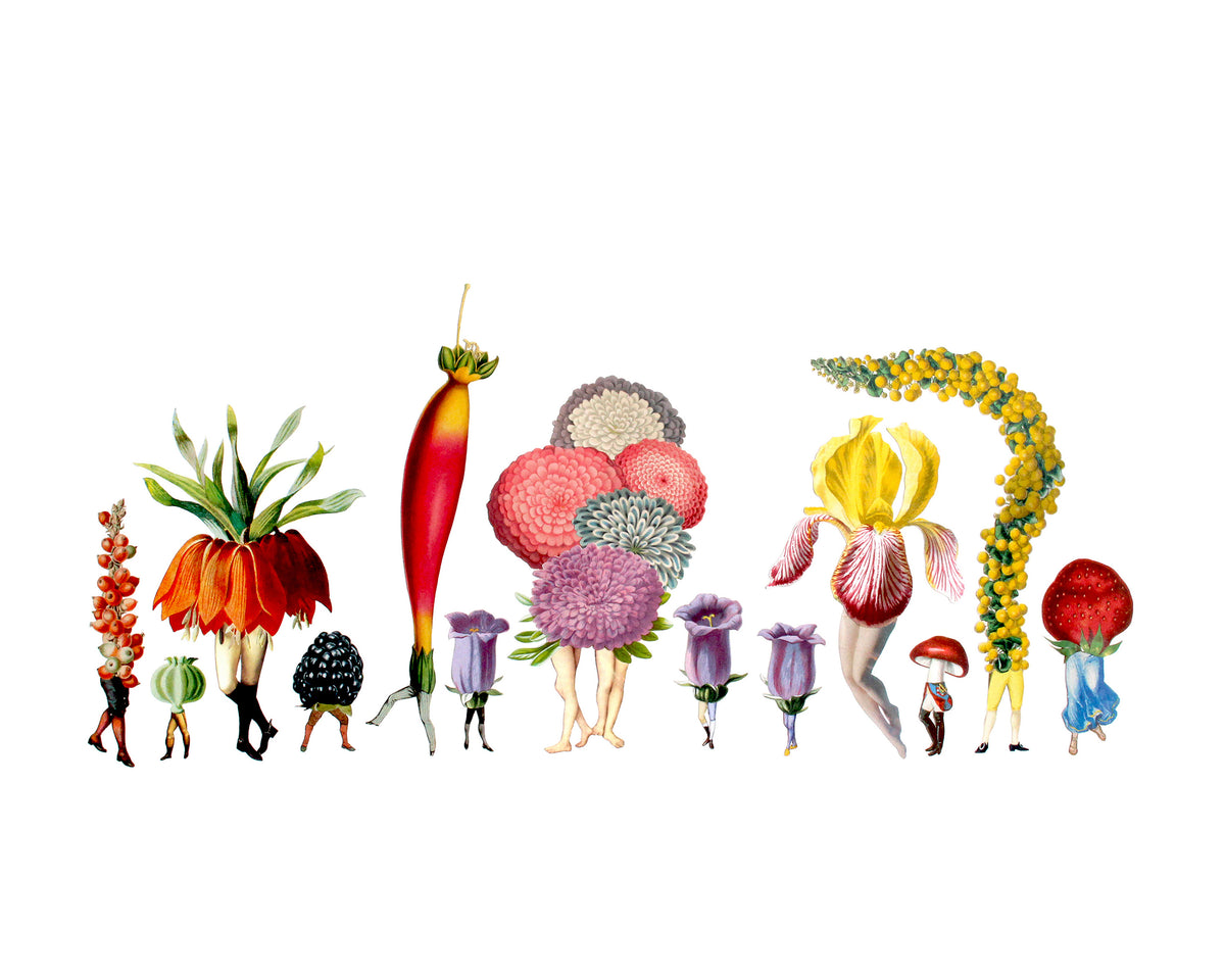 A colorful archival print of a collage of various garden-related images, such as fruits and flowers, with human legs