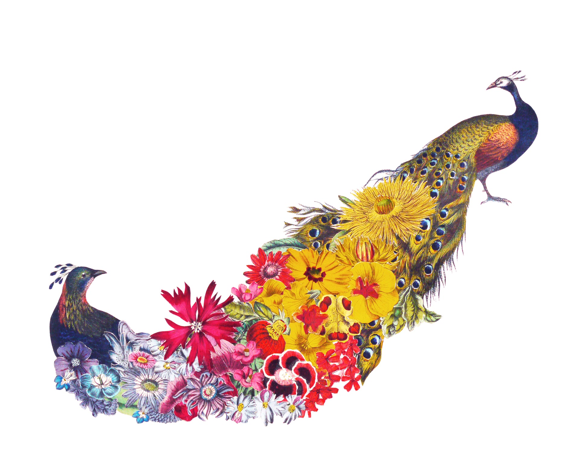 An aarchival print of a hand-cut paper collage of two peacocks surrounded by vibrant flowers