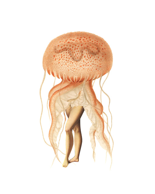 Jellyfish print