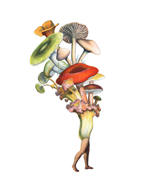 She-shroom print
