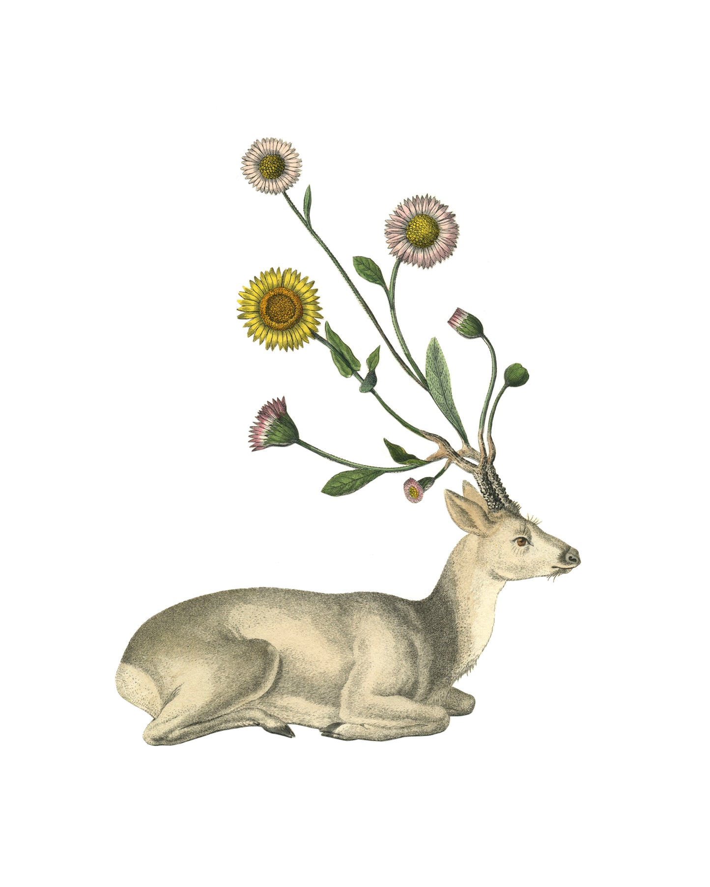 An artistic print featuring a deer with flowers sprouting out of its antlers
